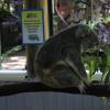 Places 069