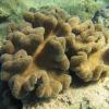 Places 129