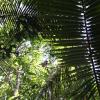 Places 202