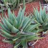 Places 231