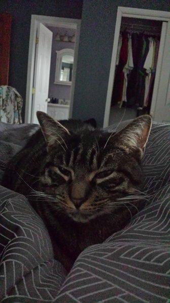 20150114_090421