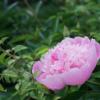 DSC03019
