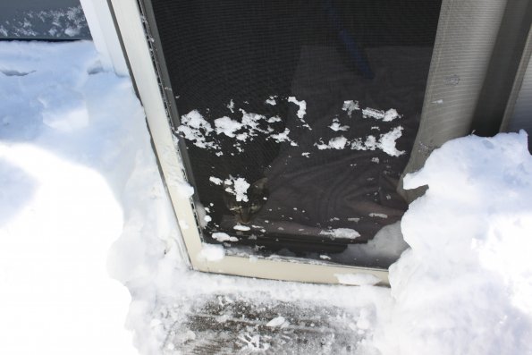 Snow Backdoor