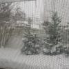 Snow2