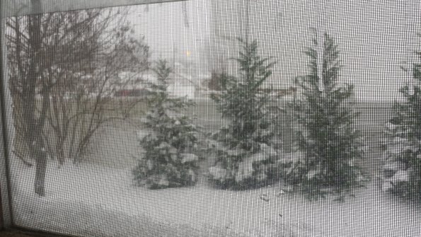 Snow2