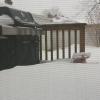 Snow3