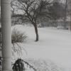 Snow4